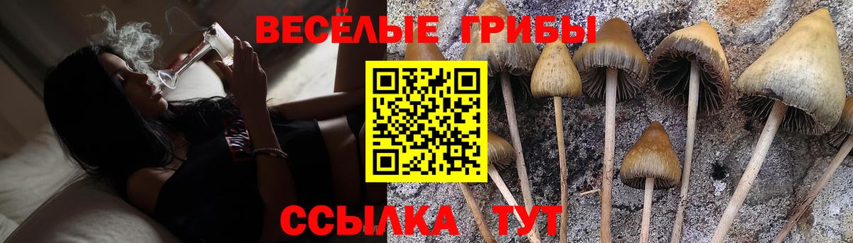 Урюпинск  Галлюциногенные грибы Magic Shrooms  Вход с VPN 