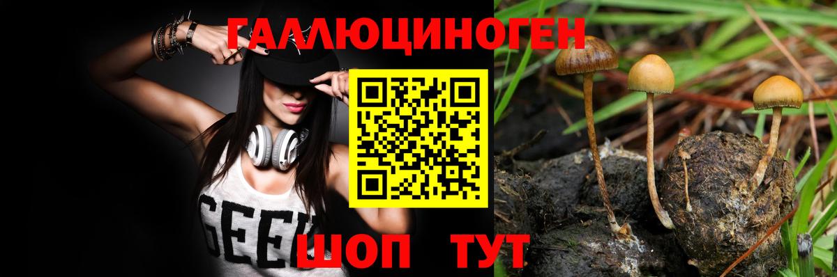 Галлюциногенные грибы мицелий Урюпинск